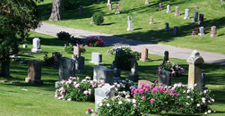 Bay Area Cremation and Burial Services